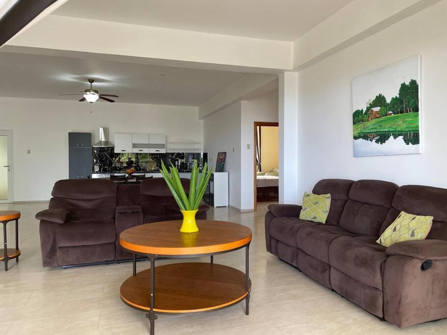Spring Garden Mobay Resort Luxurious Apartments 蒙特哥贝 外观 照片