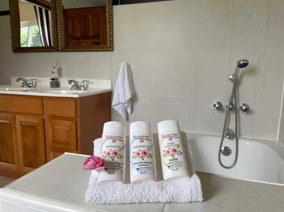Spring Garden Mobay Resort Luxurious Apartments 蒙特哥贝 外观 照片