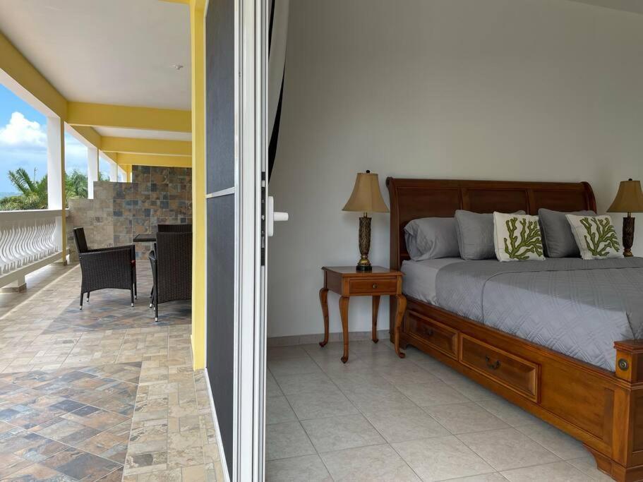 Spring Garden Mobay Resort Luxurious Apartments 蒙特哥贝 外观 照片