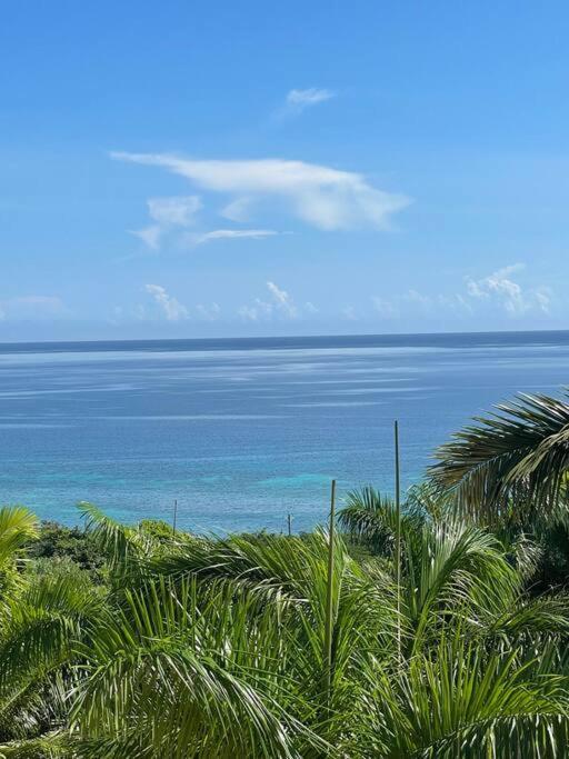 Spring Garden Mobay Resort Luxurious Apartments 蒙特哥贝 外观 照片