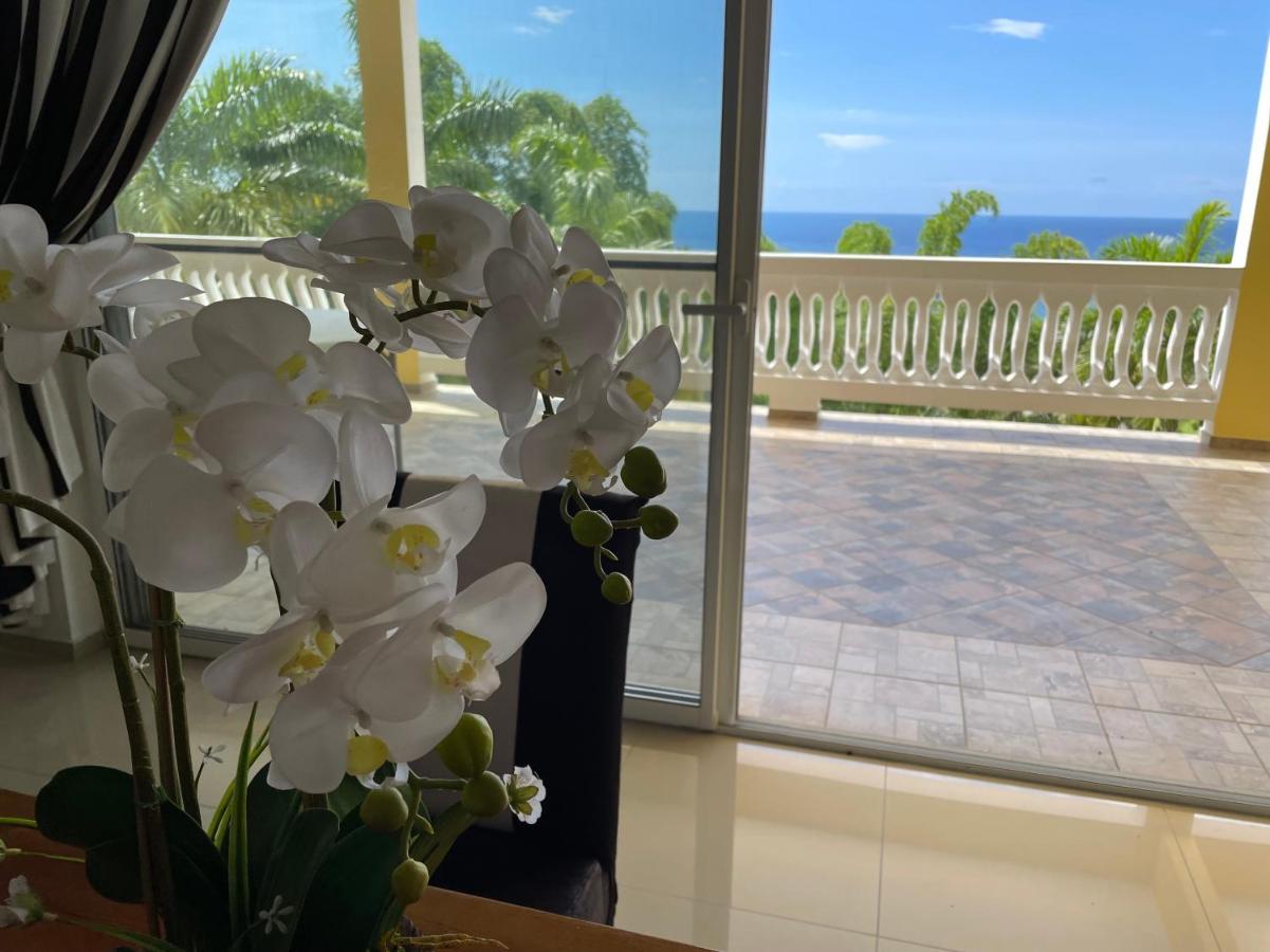 Spring Garden Mobay Resort Luxurious Apartments 蒙特哥贝 外观 照片